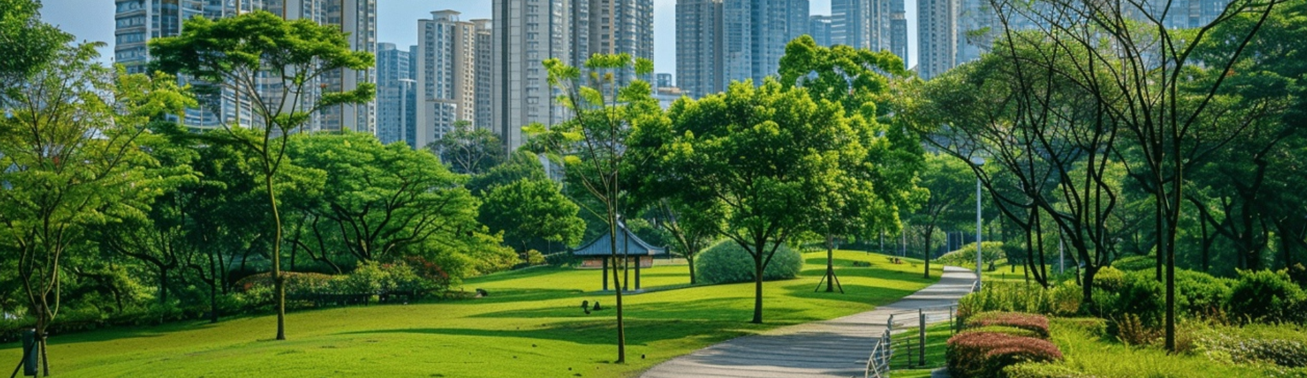 生態公園建設
